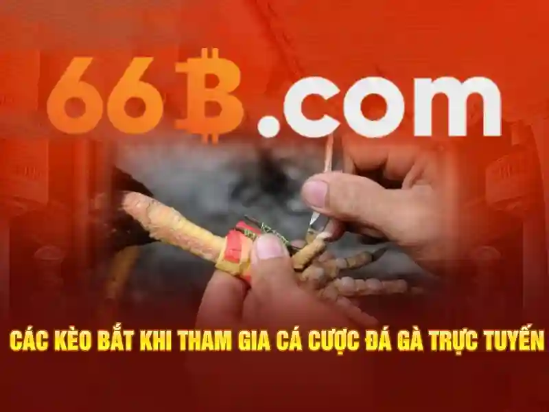 66B - 66B