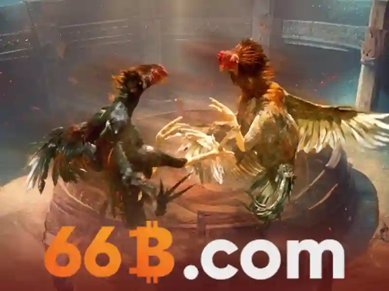 trải nghiệm chơi game - 66B