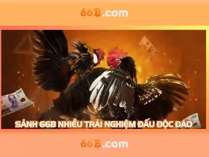  trải nghiệm cá cược - 66B
