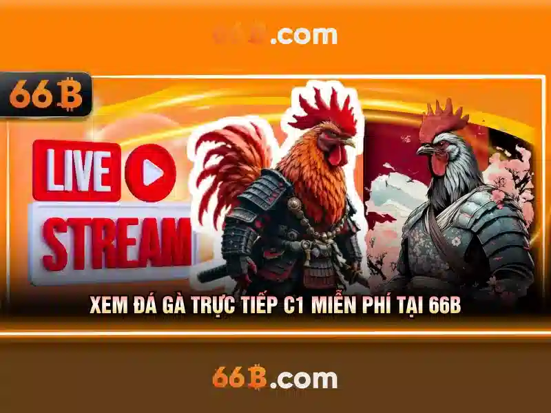 trò chơi slot - 66B