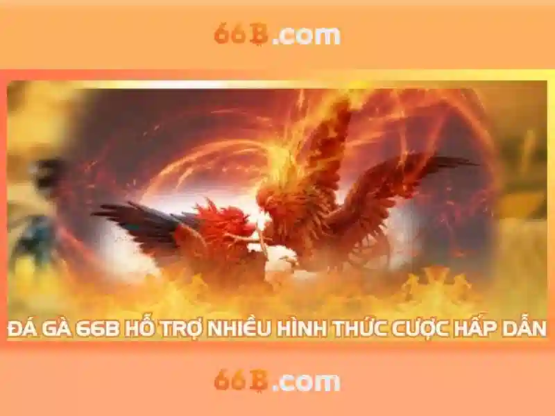 đăng ký lô đề - 66B