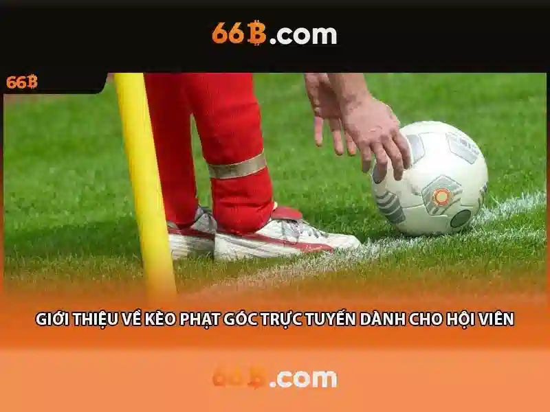  đăng xuất 66B - 66B