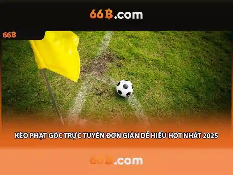 Điều Khoản Đăng Xuất 66B: Bảo Vệ Quyền Lợi Khi Tham Gia Cược Slot - 66B