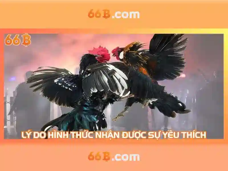 bảo mật cao - 66B