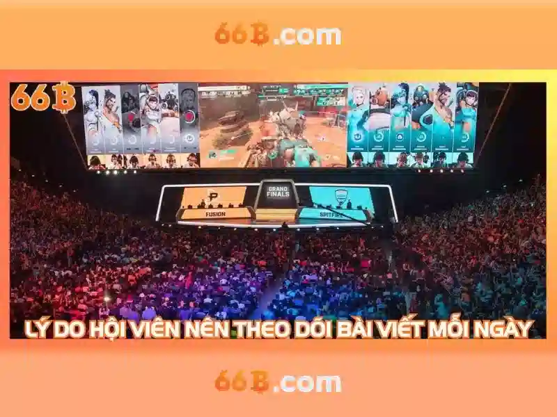  cá cược - 66B