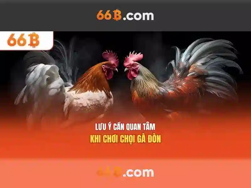 cờ caro 66b - 66B