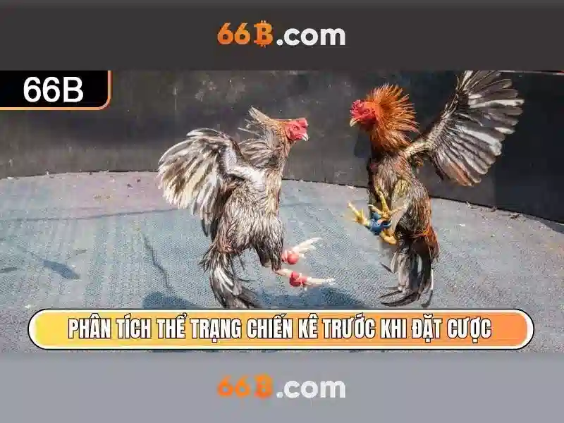 66b - Trải nghiệm cá cược trực tuyến đỉnh cao tại grindrgratis.com