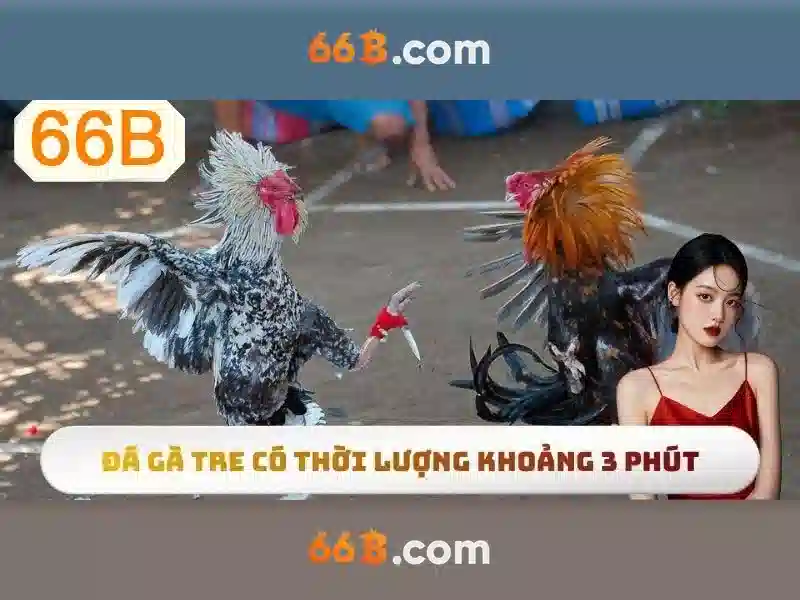 66B - Hướng Dẫn Đăng Xuất 66B Hiệu Quả Cho Người Chơi Slot - 66B
