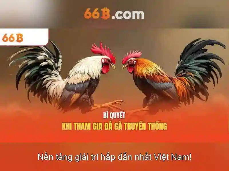66b - Trải nghiệm cá cược trực tuyến đỉnh cao tại grindrgratis.com