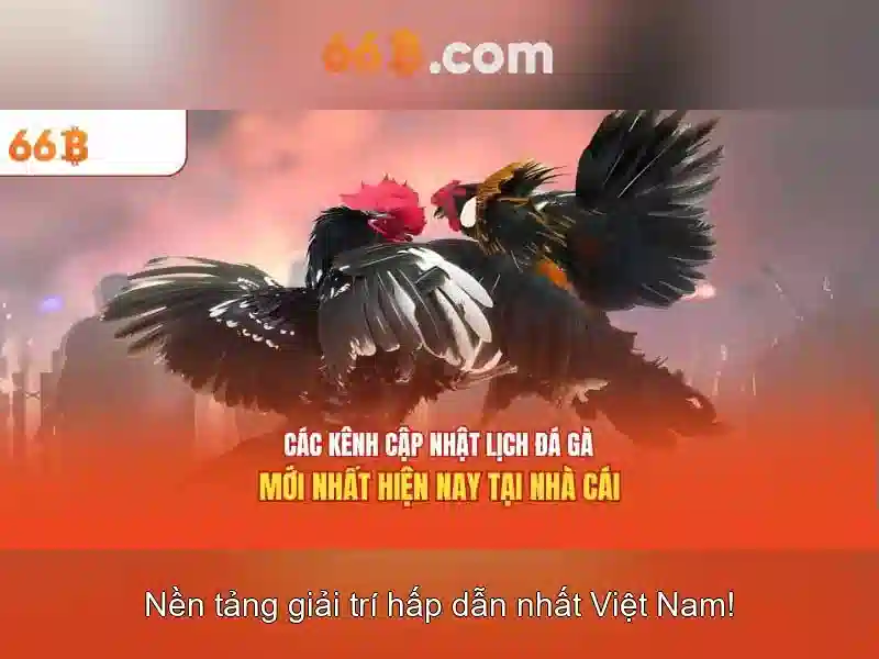  ưu đãi phỏm 66b - 66B