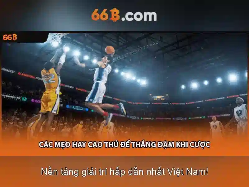  không gian săn cá - 66B