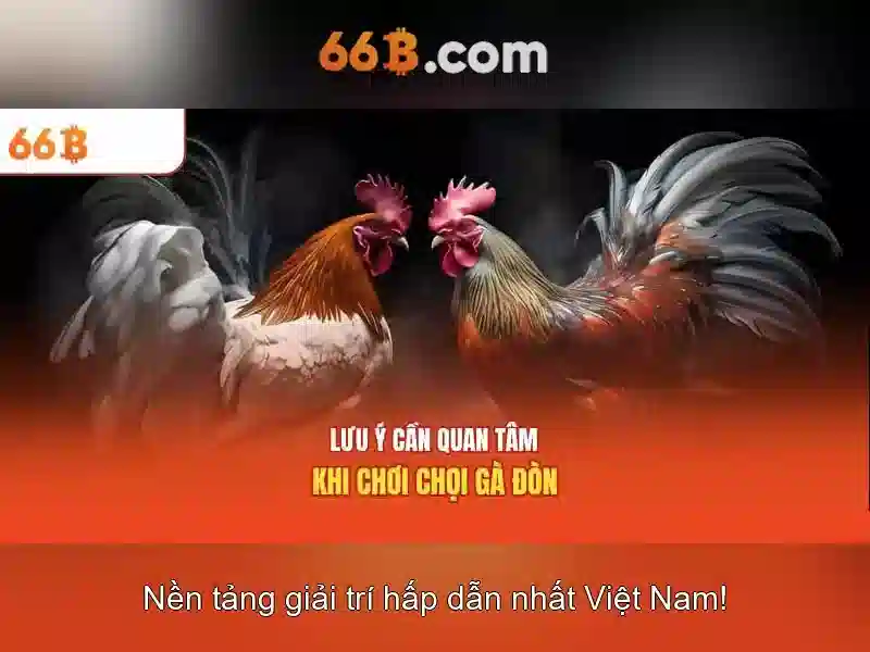  chương trình ưu đãi - 66B