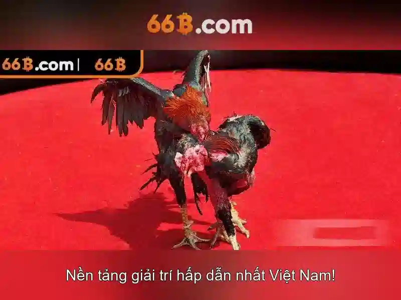 Rút Thưởng 66B – Trải Nghiệm Slot Đỉnh Cao Với Tỷ Lệ Thắng Cao 2026 - 66B