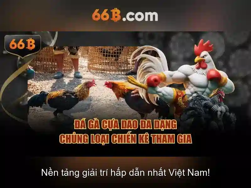 66b - Trải nghiệm cá cược trực tuyến đỉnh cao tại grindrgratis.com