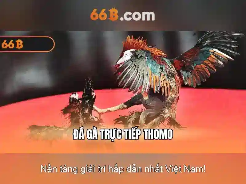 thẻ cào 66b - 66B