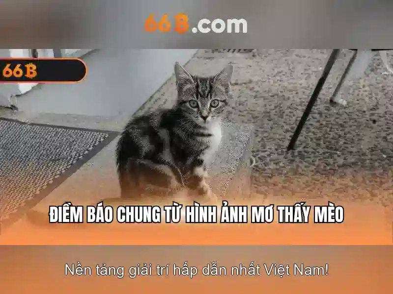 Rút Tiền 66B – Hướng Dẫn Nhanh Chóng, An Toàn Cho Người Chơi Slot - 66B