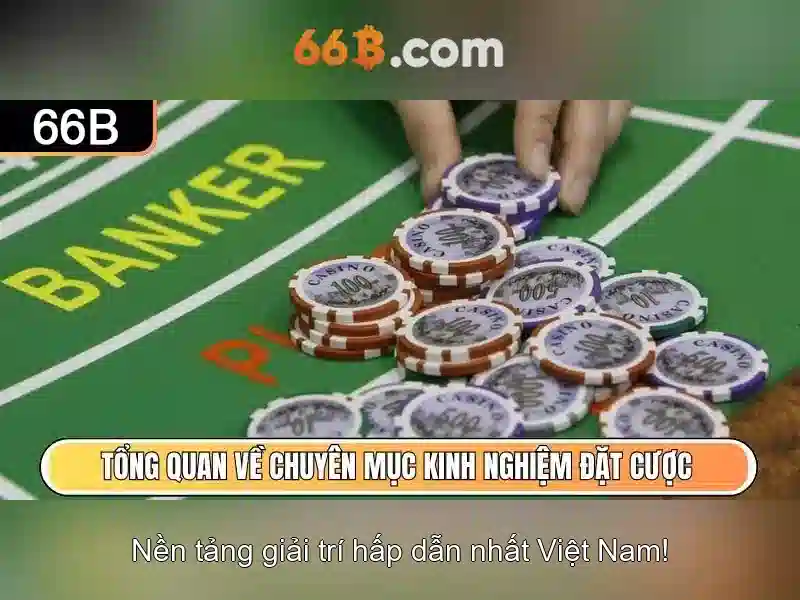  dịch vụ Slot - 66B