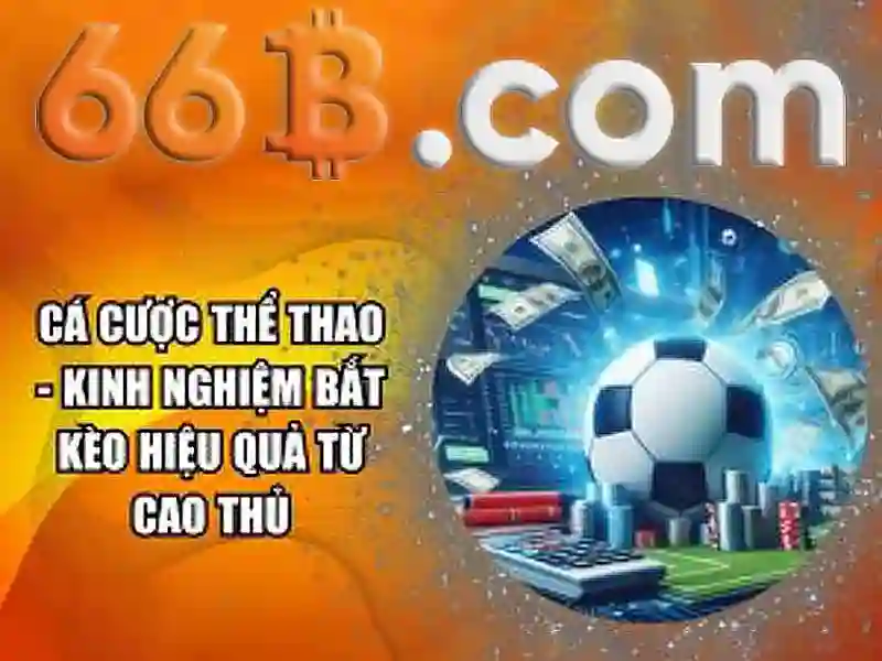 66B - 66B