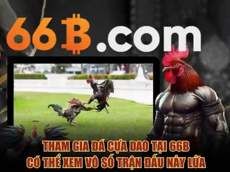  khuyến mãi Slot - 66B