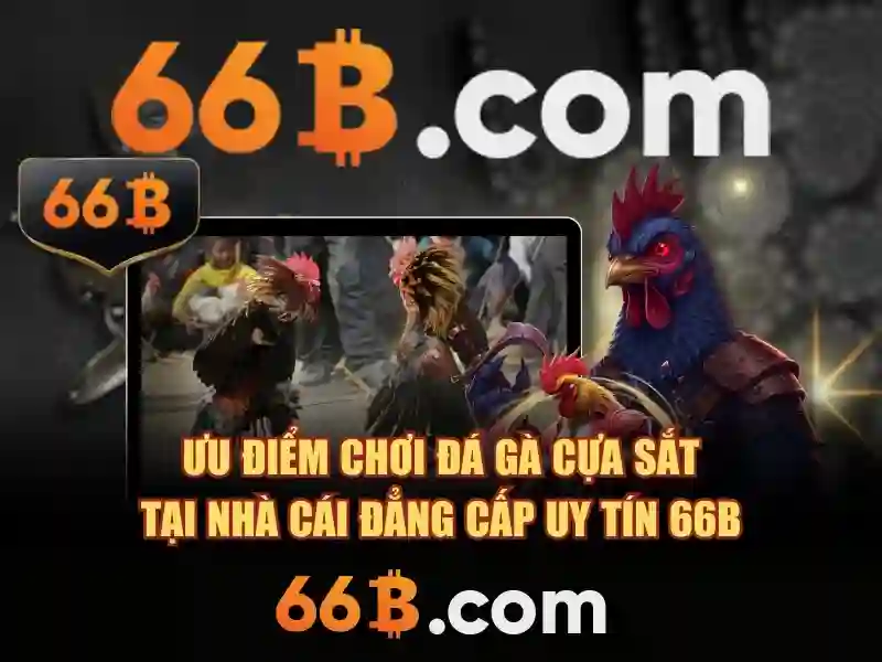 Khuyến Mãi 66B – Cơ Hội Nhận Thưởng Cờ Caro 66B Cho Hội Viên - 66B